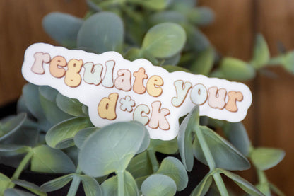 Regulate Your D*CK Sticker